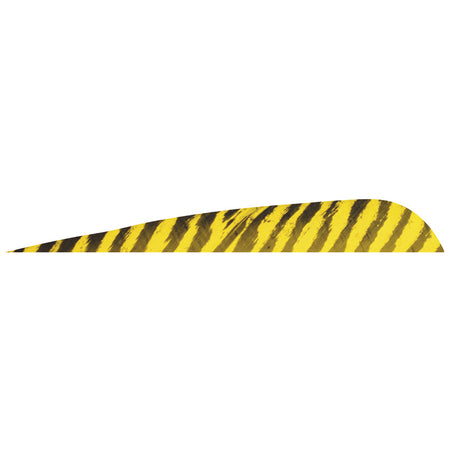 Gateway Yellow Parabolic Barred Arrow Feathers 5 in. RW 50 pk.