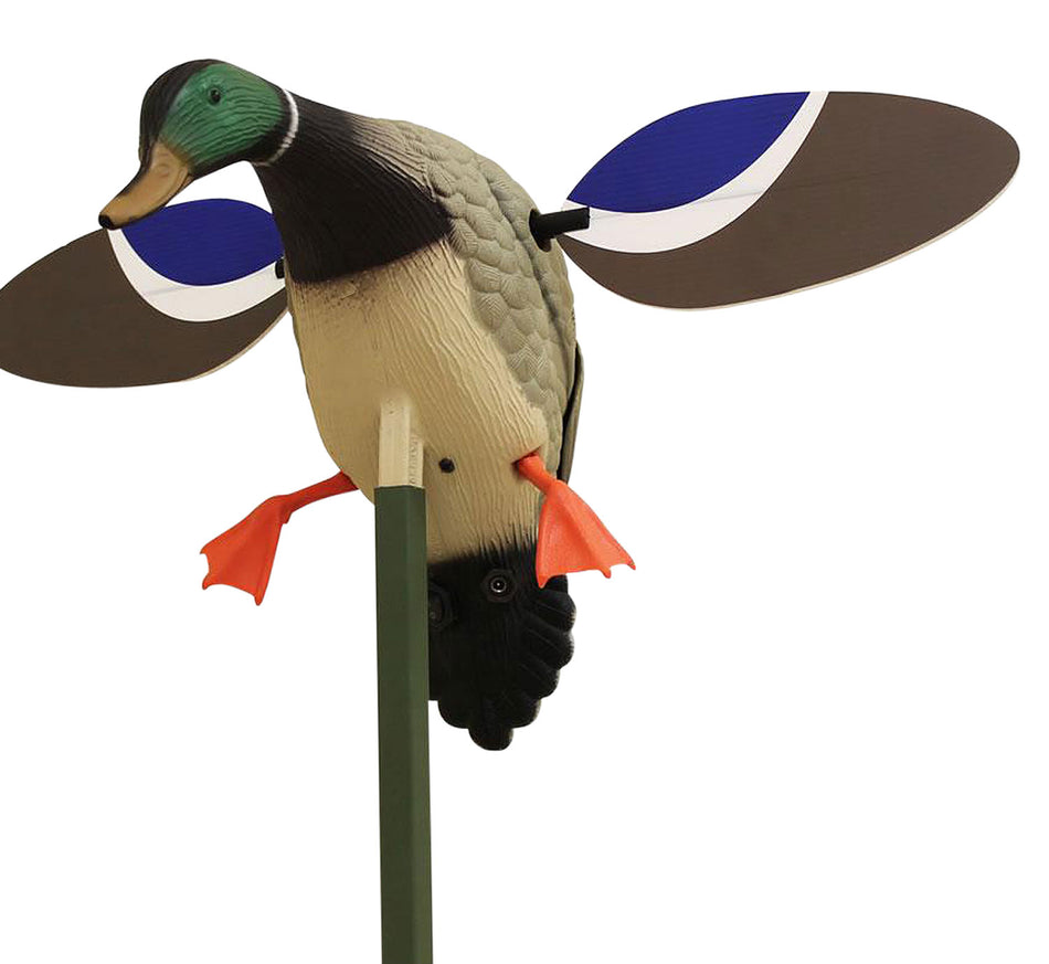Mojo Outdoors Baby Mojo Drake Mallard Decoy with Remote Receiver and Rechargeable Battery