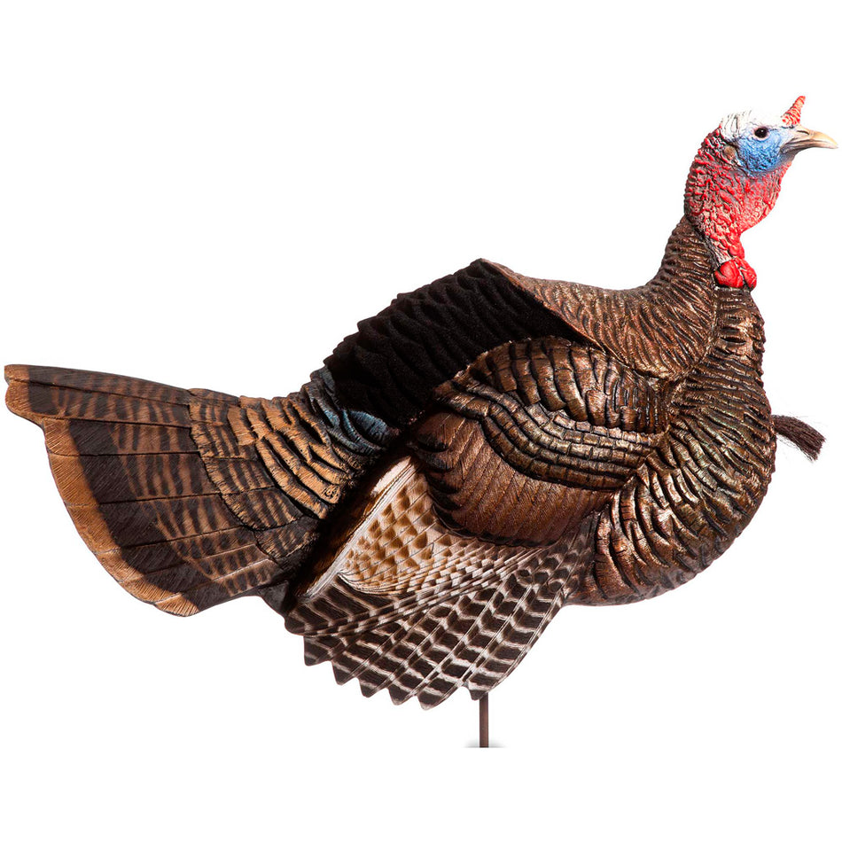 Dave Smith DSD Posturing Jake Turkey Hunting Decoy