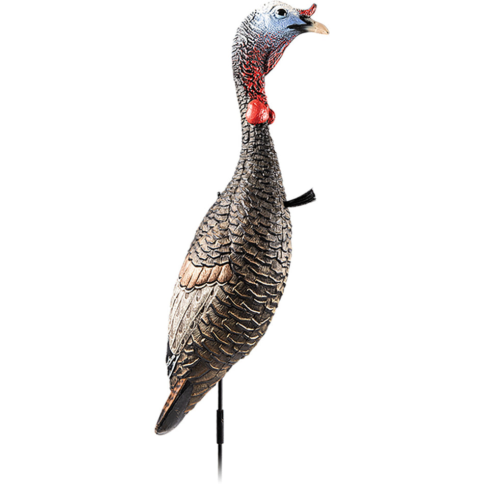 Flextone Funky Chicken Generation 2 Collapsible Turkey Decoy