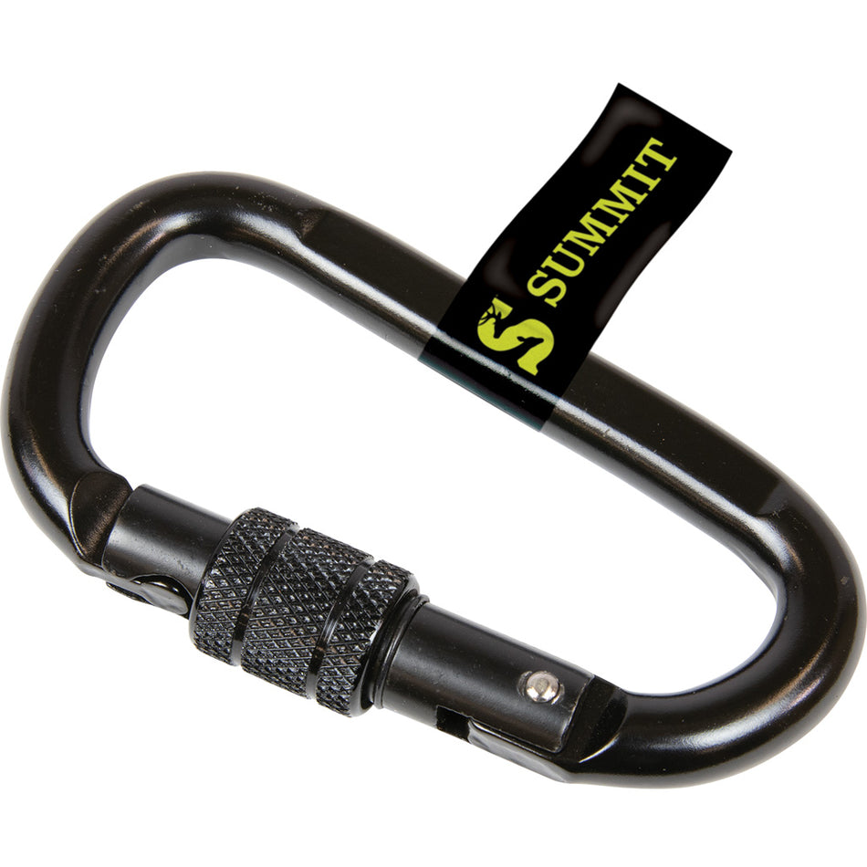 Summit Locking Carabiner Secure Closure Mountaineering Design
