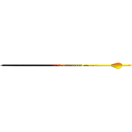 Black Eagle Renegade .005 Straightness 350 Spine Arrows with Blazer Vanes 6 pk.