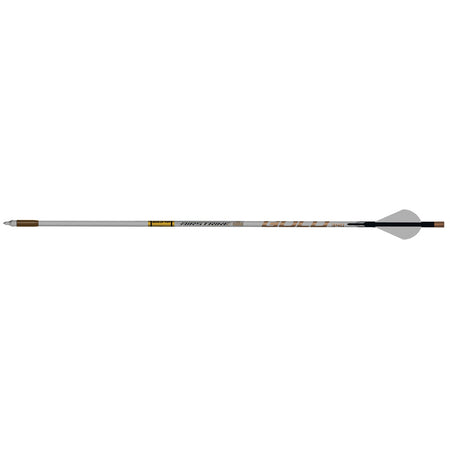 Gold Tip AirStrike 250 Arrows with Raptor Vanes 6-Pack