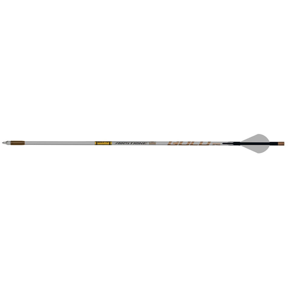 Gold Tip AirStrike 250 Arrows with Raptor Vanes 6-Pack