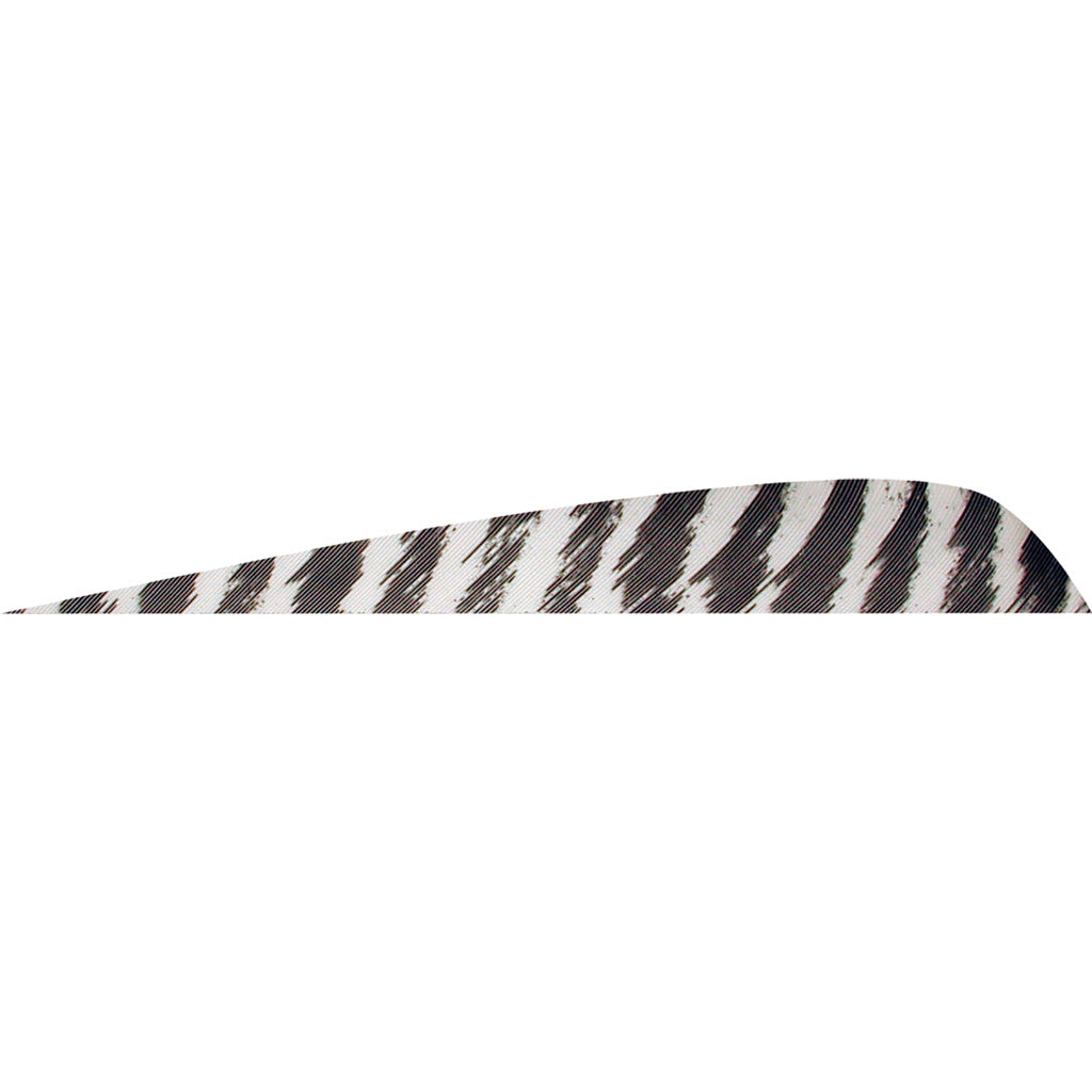 Gateway Parabolic Feathers Barred White 4" LW Fletching 50 pk.