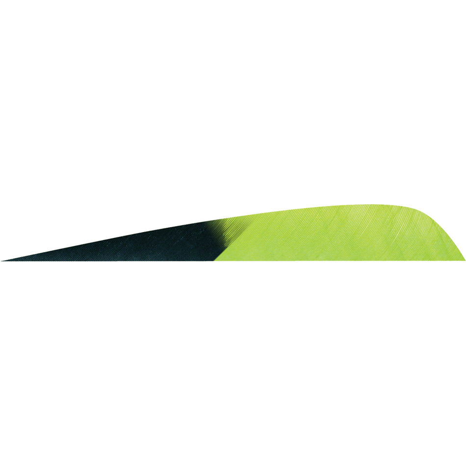 Gateway 4 in. Parabolic Arrow Feathers Kuro Chartreuse LW 50 pk.