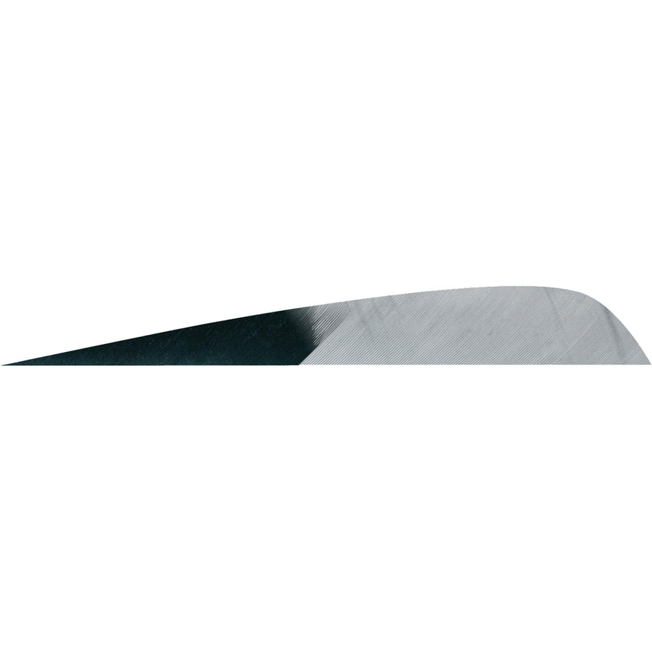 Gateway 4 in. Parabolic Arrow Feathers Kuro Grey LW 50 pk.