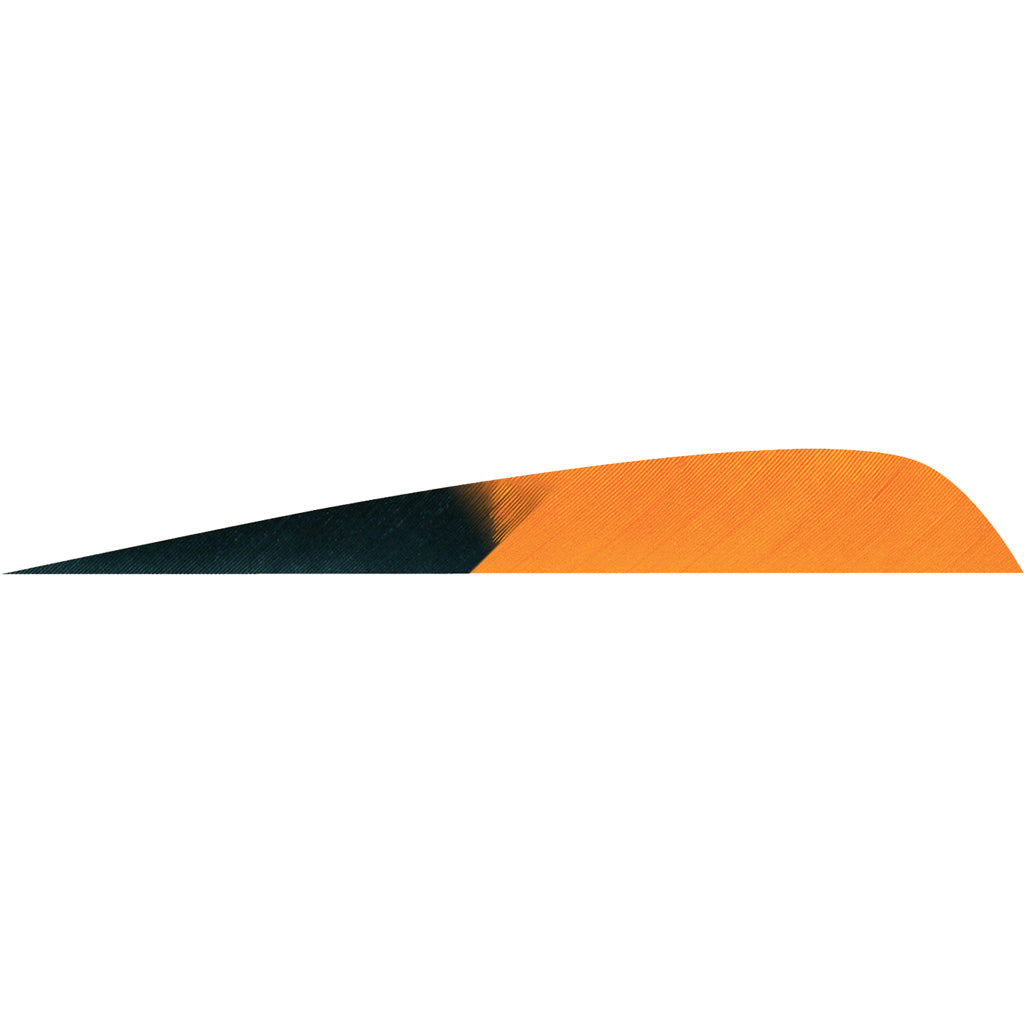 Gateway 4 in. Parabolic Arrow Feathers Kuro Orange LW 50 pk.