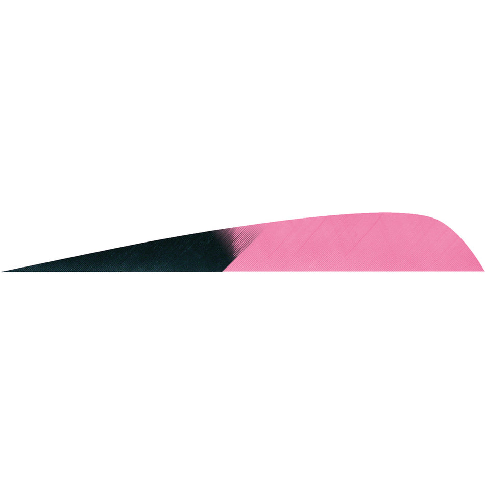 Gateway 4 in. Parabolic Arrow Feathers Kuro Pink LW 50 pk.