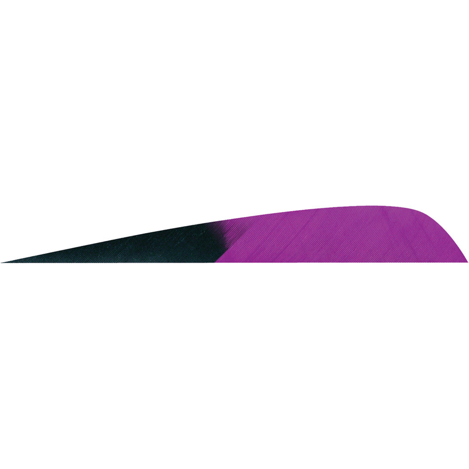 Gateway 4 in. Parabolic Arrow Feathers Kuro Purple LW 50 pk.