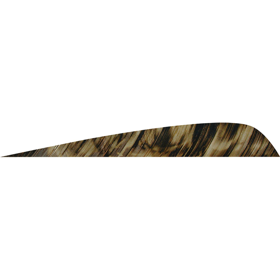 Gateway 4 in. Parabolic Arrow Feathers Tre Brown LW 50 pk.