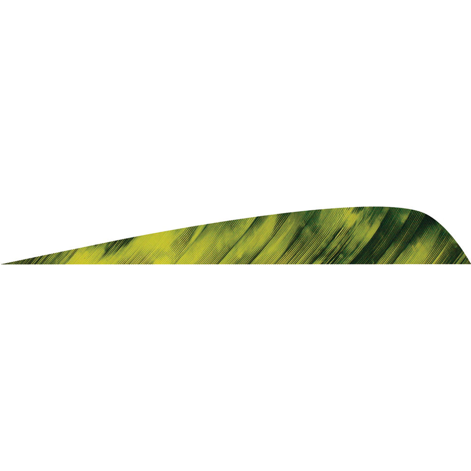 Gateway 4 in. Parabolic Arrow Feathers Tre Yellow LW 50 pk.