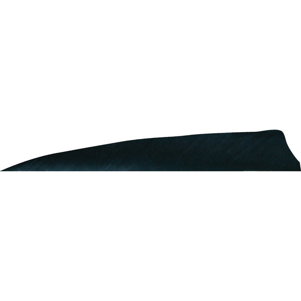 Gateway 4 in. Shield Cut Arrow Feathers Black LW 50 pk.