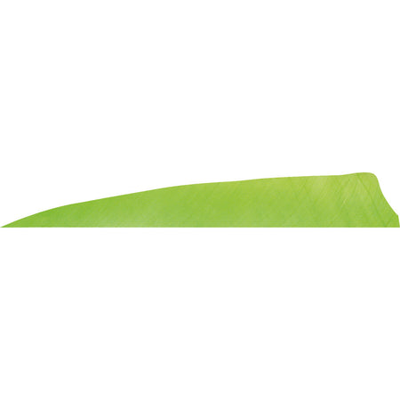 Gateway 4 in. Shield Cut Arrow Feathers Chartreuse LW 50 pk.