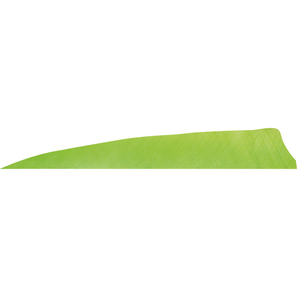 Gateway 4 in. Shield Cut Arrow Feathers Chartreuse LW 50 pk.