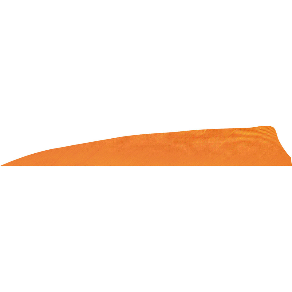 Gateway Feathers Shield Cut Flo Orange 4 in. LW Arrow Fletching 50 pk.