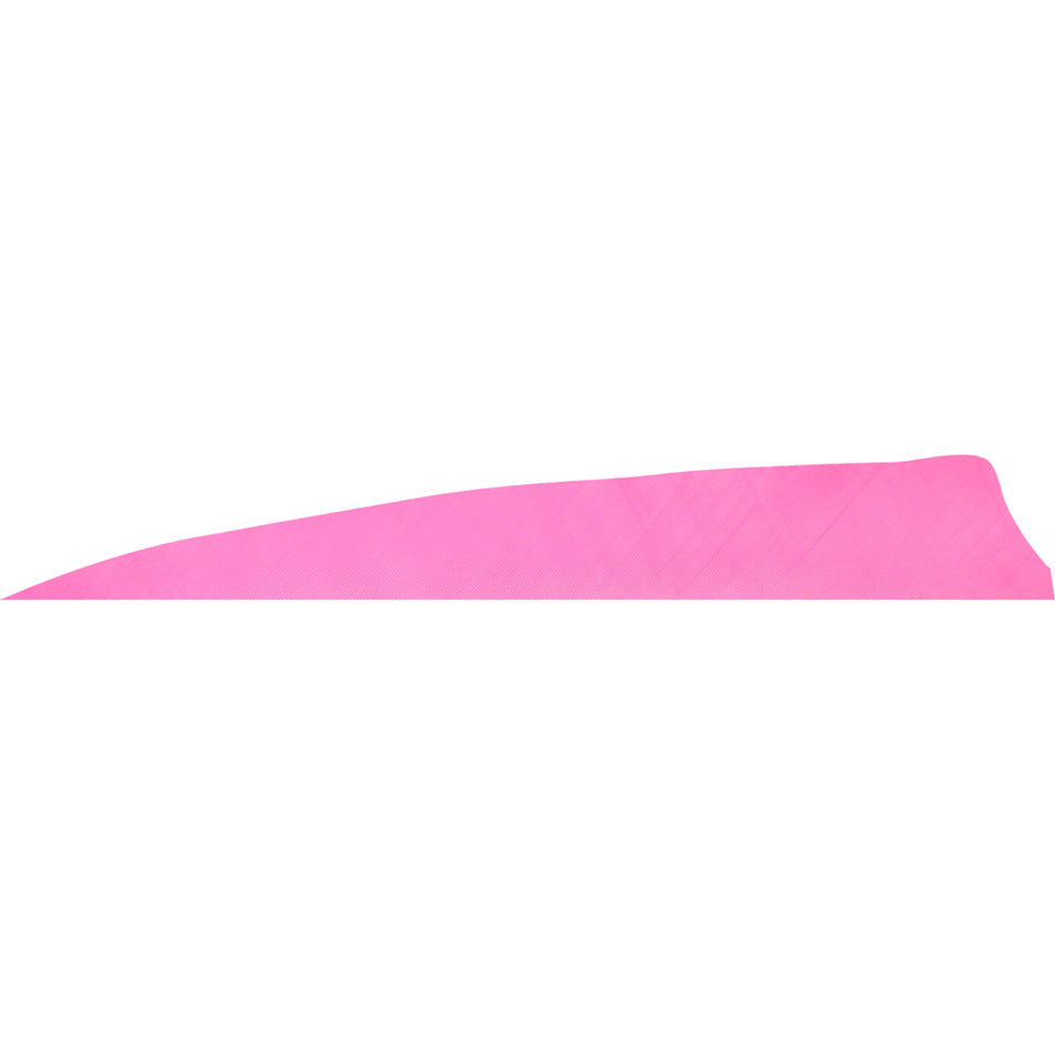 Gateway Feathers Shield Cut Flo Pink 4 in. LW Arrow Fletching 50 pk.