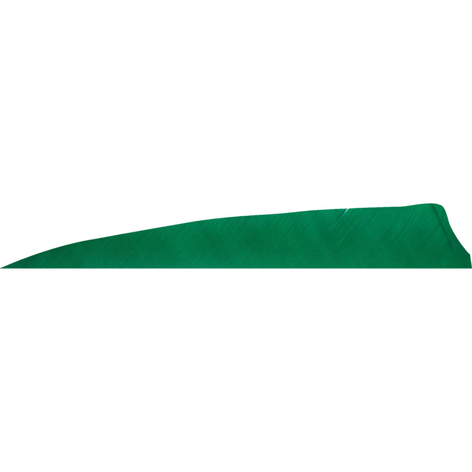 Gateway Feathers Shield Cut Green 4 in. LW Arrow Fletching 50 pk.