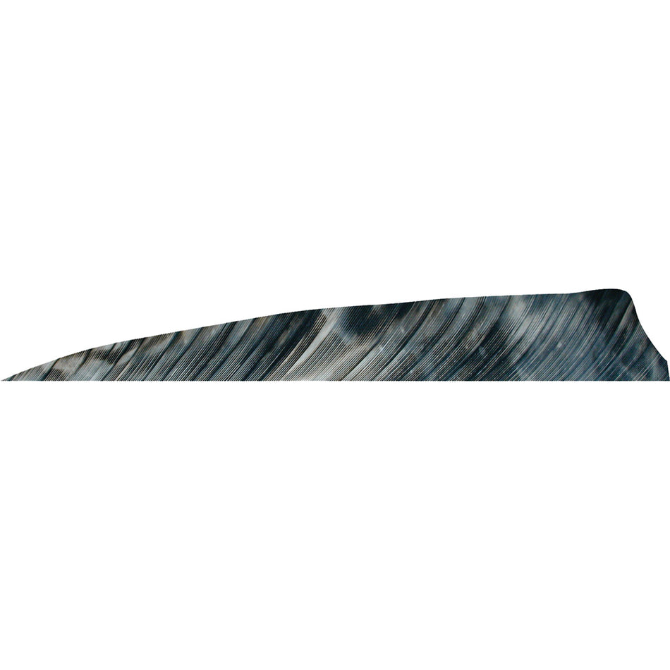 Gateway Shield Cut Fletching Feathers Tre Bark 4 in. LW 50 pk.