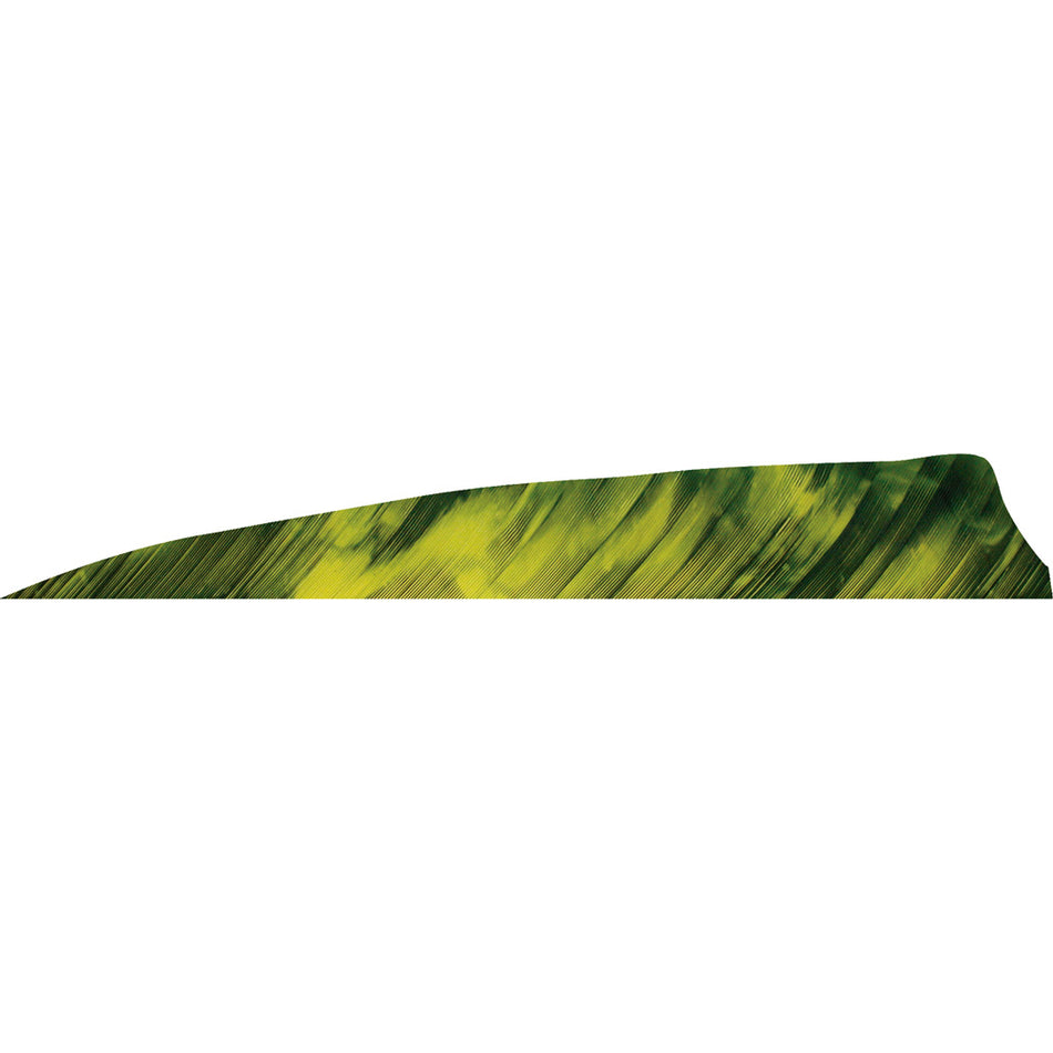 Gateway Shield Cut Fletching Feathers Tre Yellow 4 in. LW 50 pk.