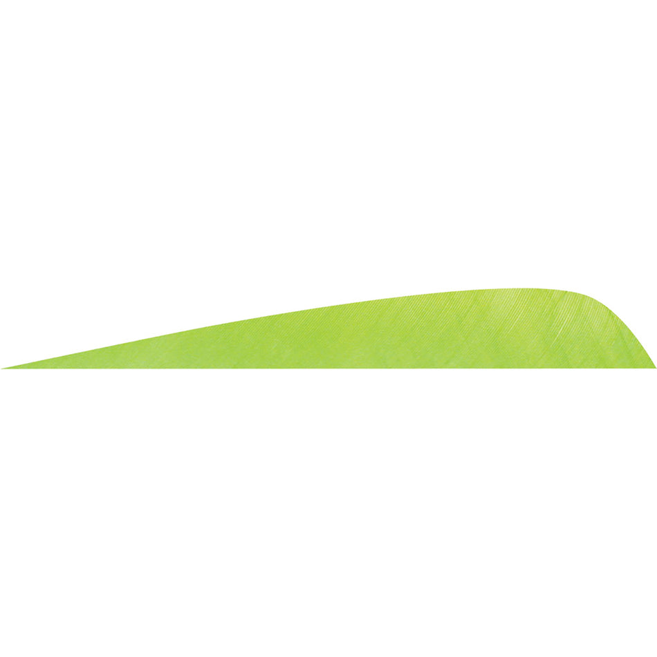 Gateway Parabolic Fletching Feathers Chartreuse 4 in. RW 50 pk.