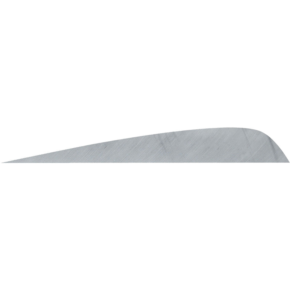 Gateway 4 in. Parabolic Arrow Feathers Grey RW Pack of 50