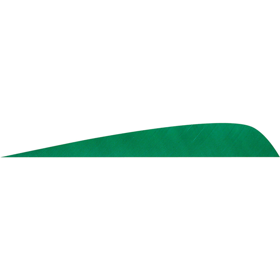 Gateway 4 in. Parabolic Arrow Feathers Green RW Pack of 50