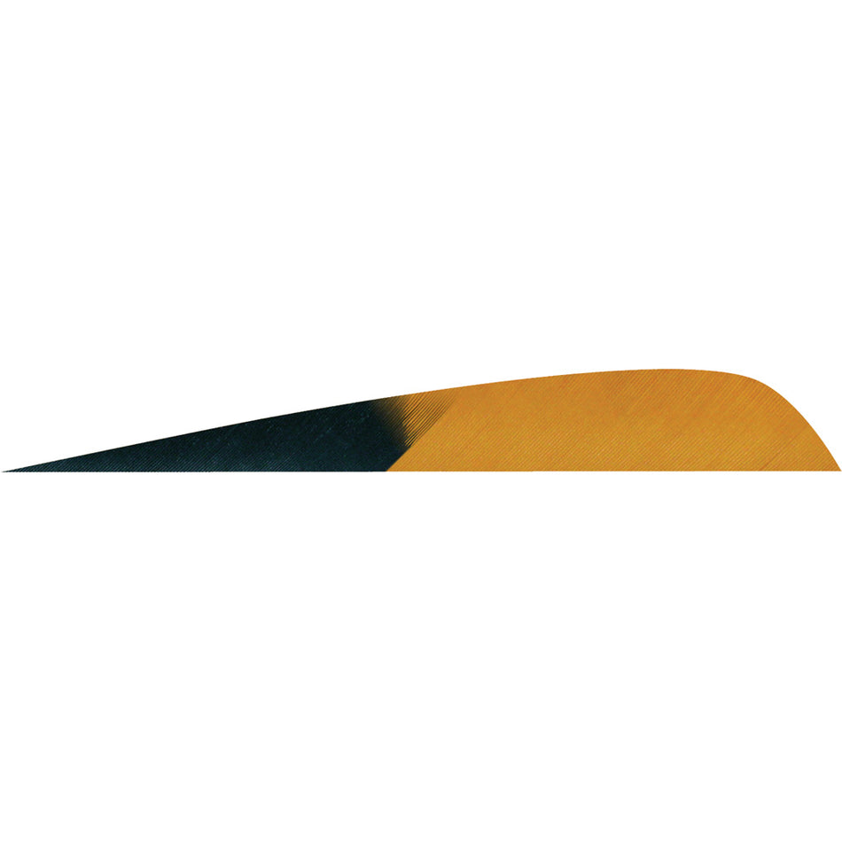 Gateway 4 in. Kuru Desert Brown Parabolic Arrow Feathers RW Pack of 50