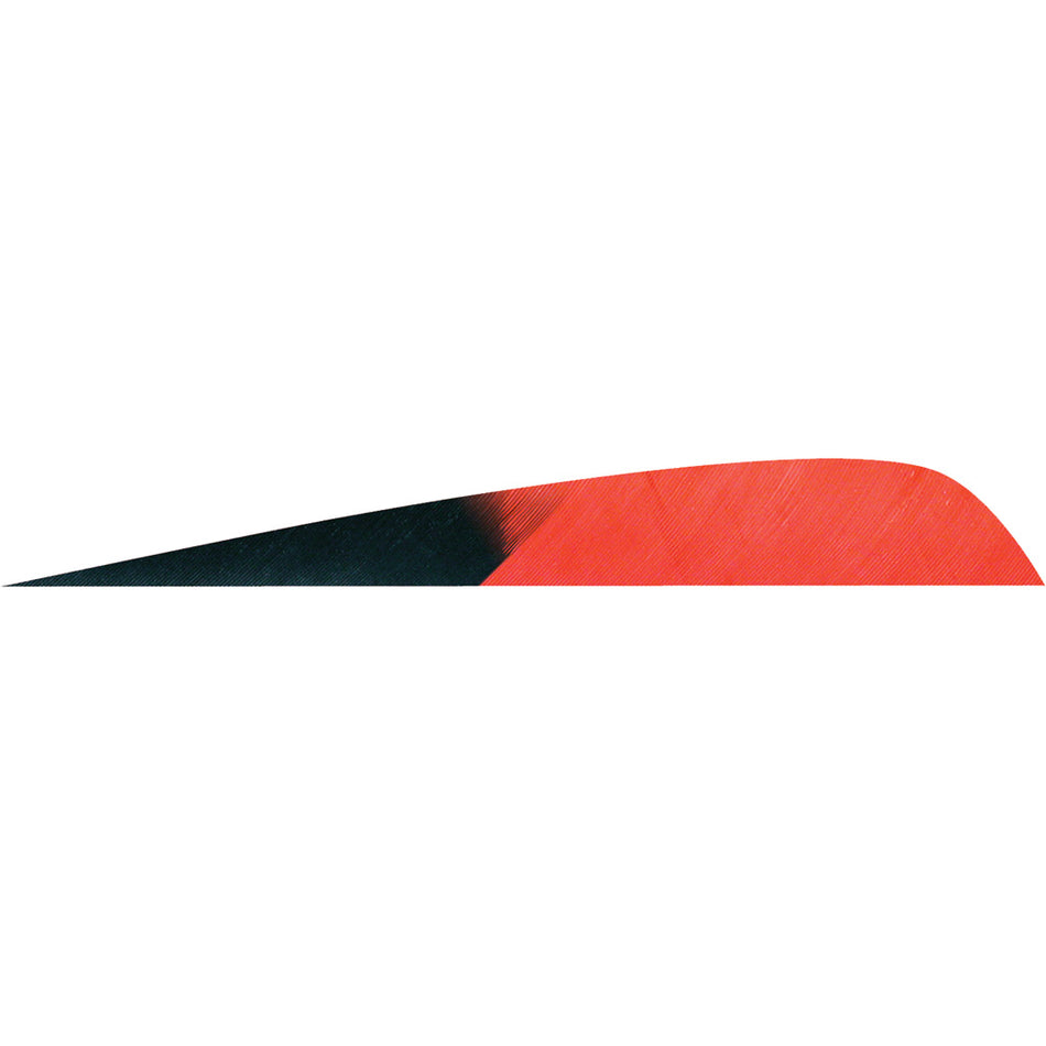 Gateway 4 in. Kuru Red Parabolic Arrow Feathers RW Pack of 50