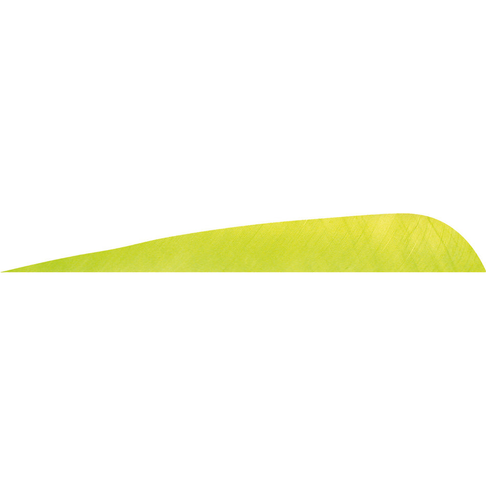 Gateway 4 in. Lemon Lime Parabolic Arrow Feathers RW Pack of 50