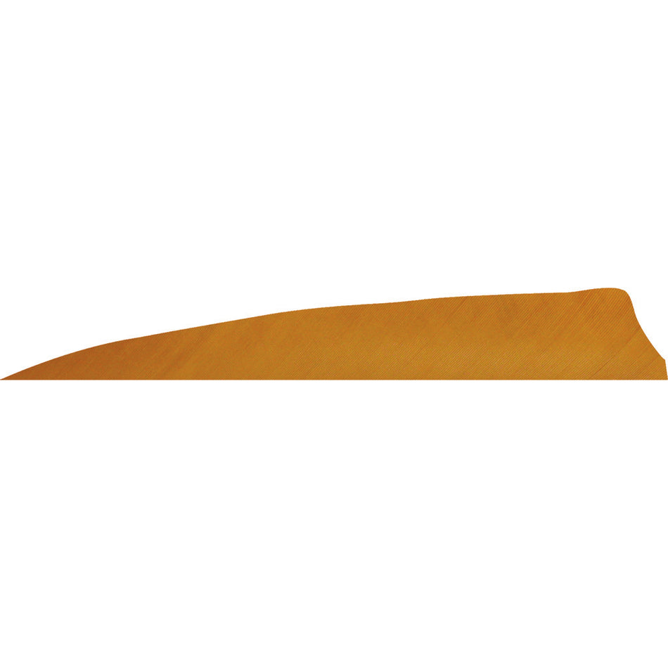 Gateway 4 in. Shield Cut Desert Brown RW Arrow Feathers 50 pk.
