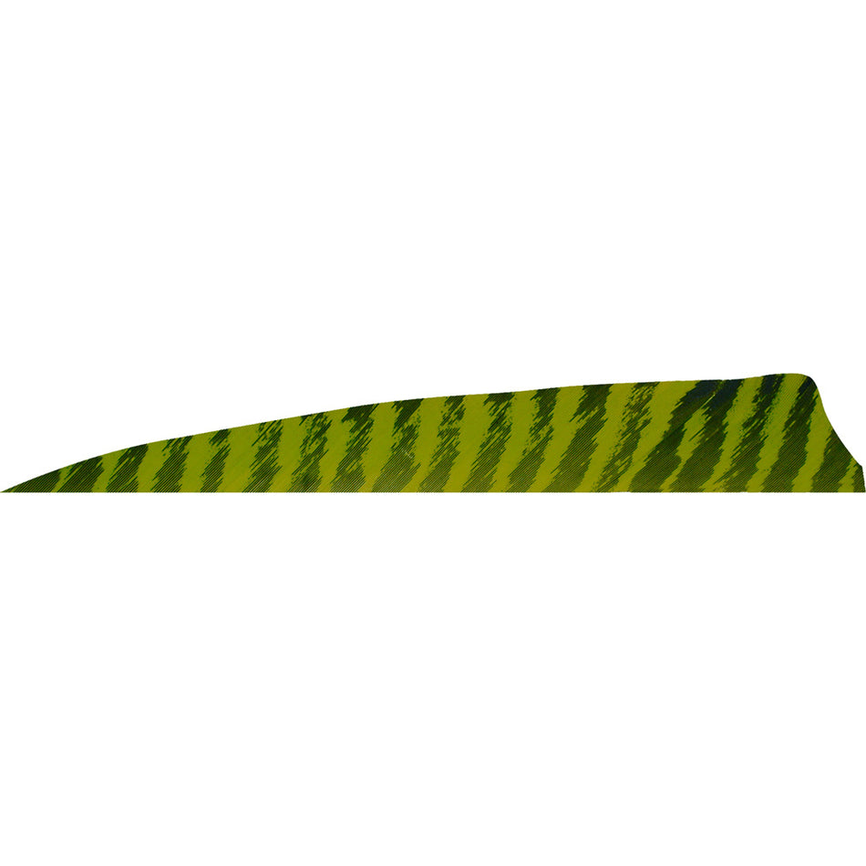 Gateway 4 in. Shield Cut Barred Chartreuse RW Arrow Feathers 50 pk.
