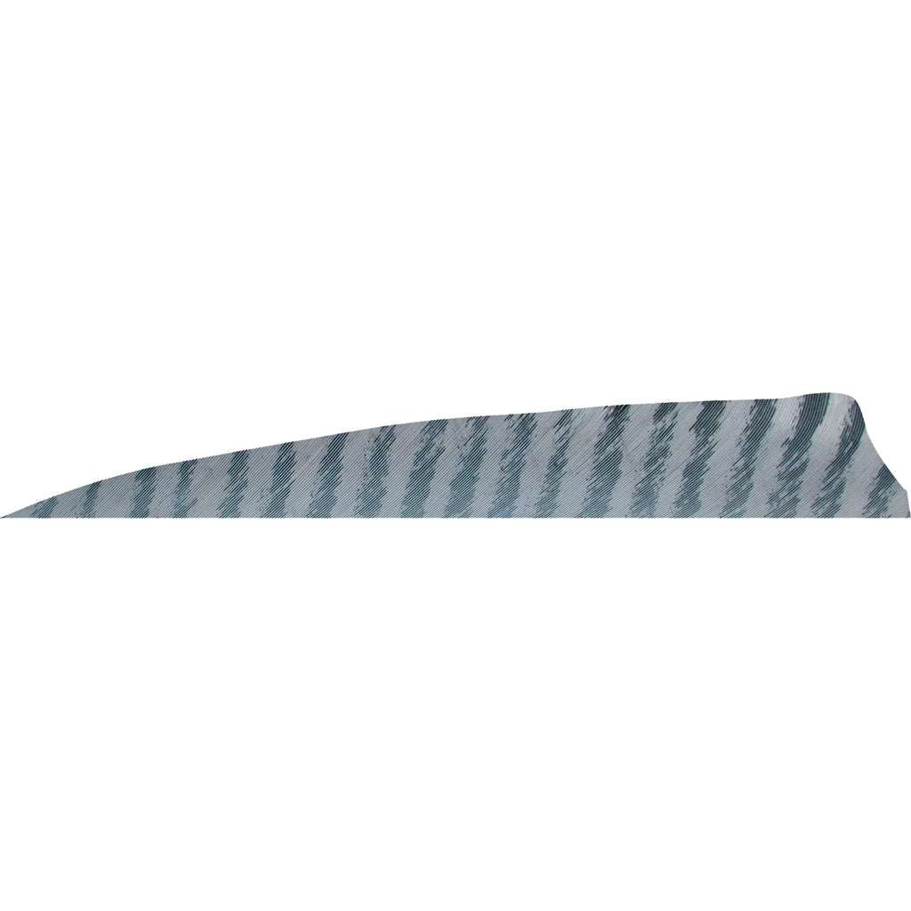 Gateway 4 in. Shield Cut Barred Grey RW Arrow Feathers 50 pk.