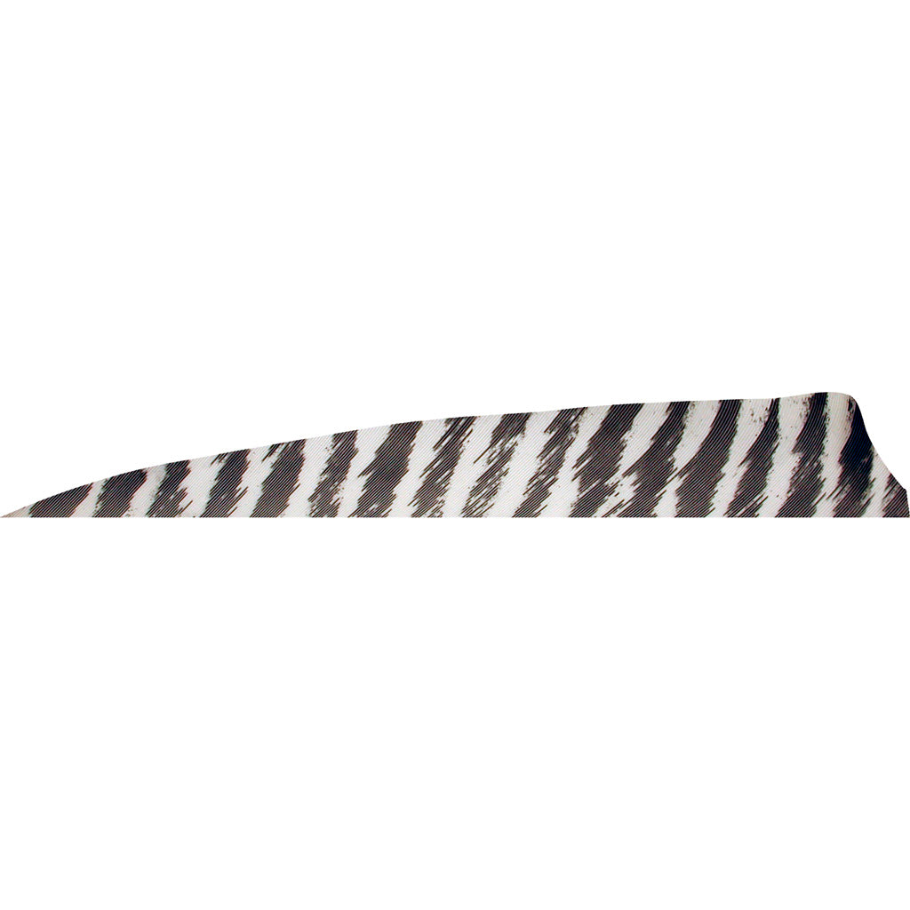Gateway Shield Cut Barred White Arrow Fletching Feathers 4 in. Right Wing 50 pk.