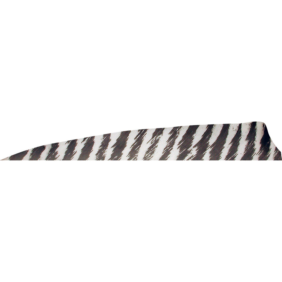 Gateway Shield Cut Barred White Arrow Fletching Feathers 4 in. Right Wing 50 pk.