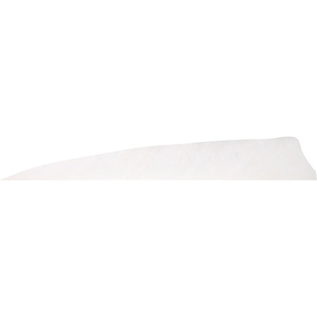 Gateway Shield Cut Flo White Arrow Fletching Feathers 4 in. Right Wing 50 pk.
