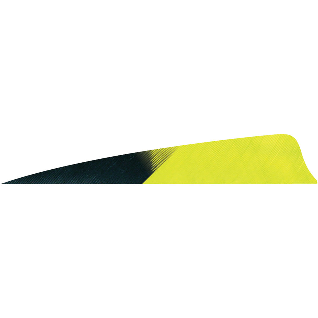 Gateway Shield Cut Kuro Lemon Lime Arrow Fletching Feathers 4 in. Right Wing 50 pk.
