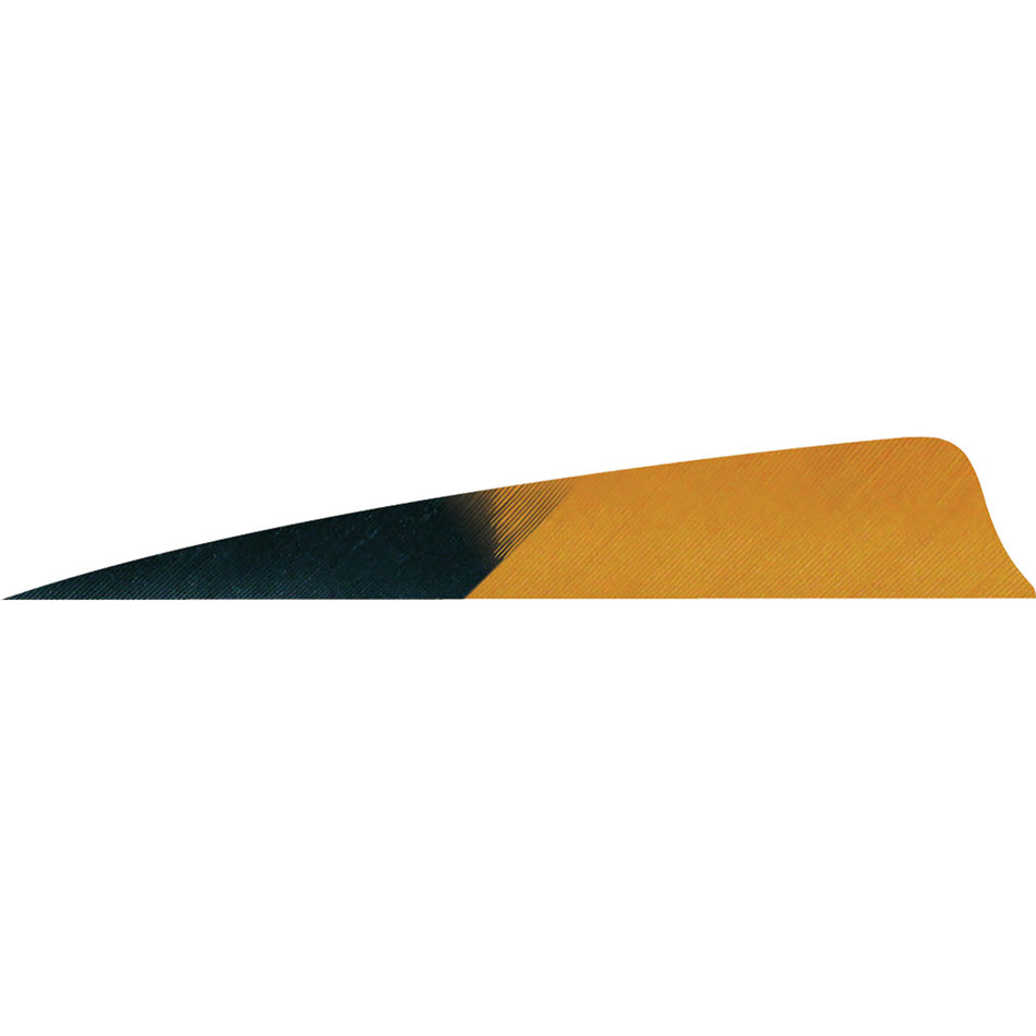 Gateway Shield Cut Kuru Brown Arrow Fletching Feathers 4 in. Right Wing 50 pk.