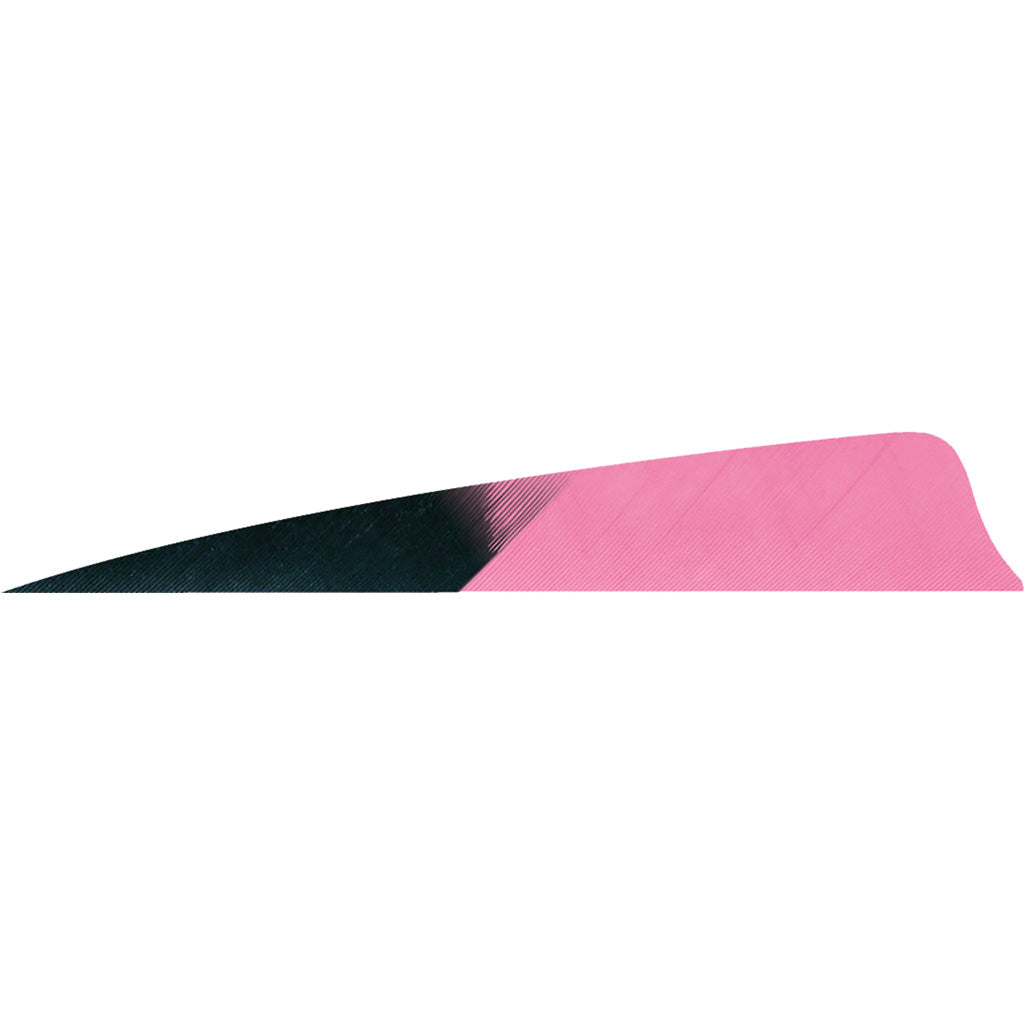 Gateway Shield Cut Kuru Flo Pink Arrow Fletching Feathers 4 in. Right Wing 50 pk.