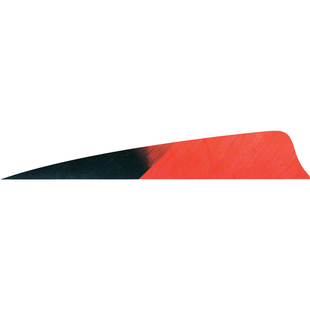 Gateway Shield Cut Kuru Red Arrow Fletching Feathers 4 in. Right Wing 50 pk.