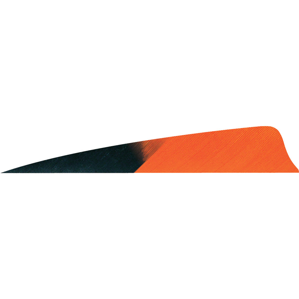 Gateway Shield Cut Kuru Tangerine Arrow Fletching Feathers 4 in. Right Wing 50 pk.