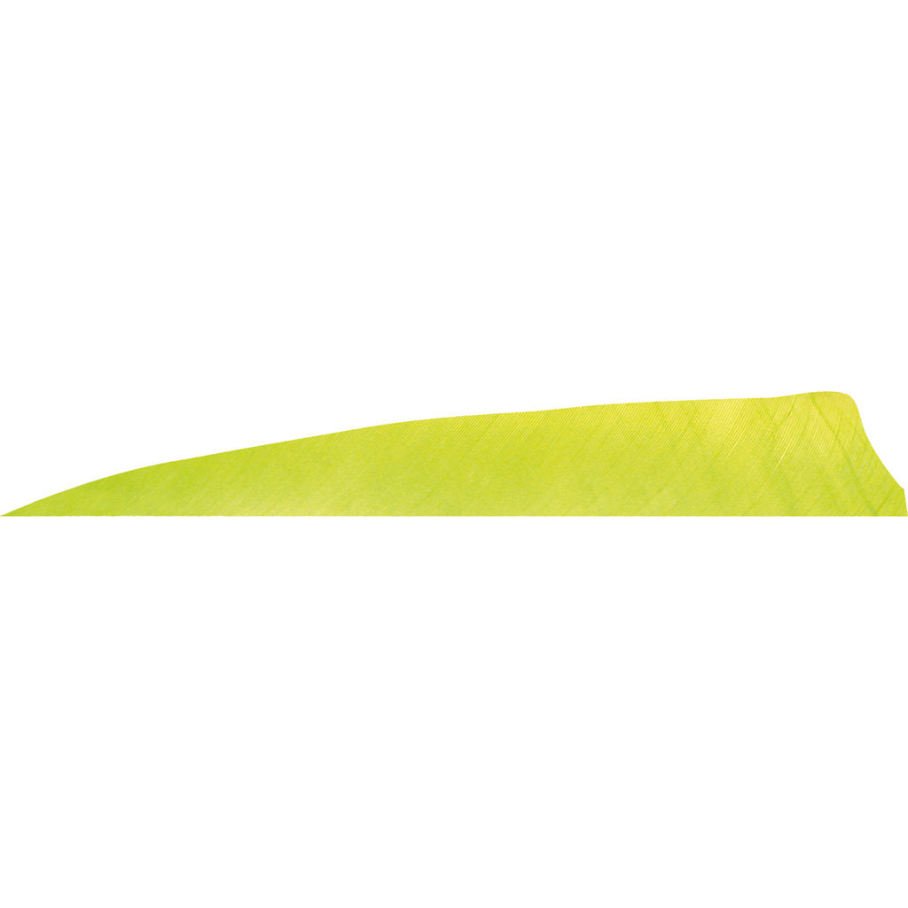 Gateway Lemon Lime Shield Cut Arrow Feathers 4 in. RW 50 pk.