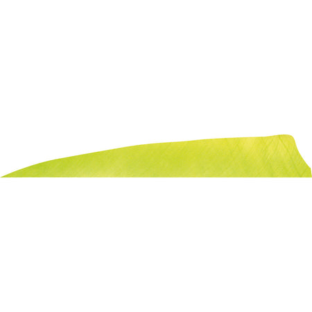 Gateway Lemon Lime Shield Cut Arrow Feathers 4 in. RW 50 pk.