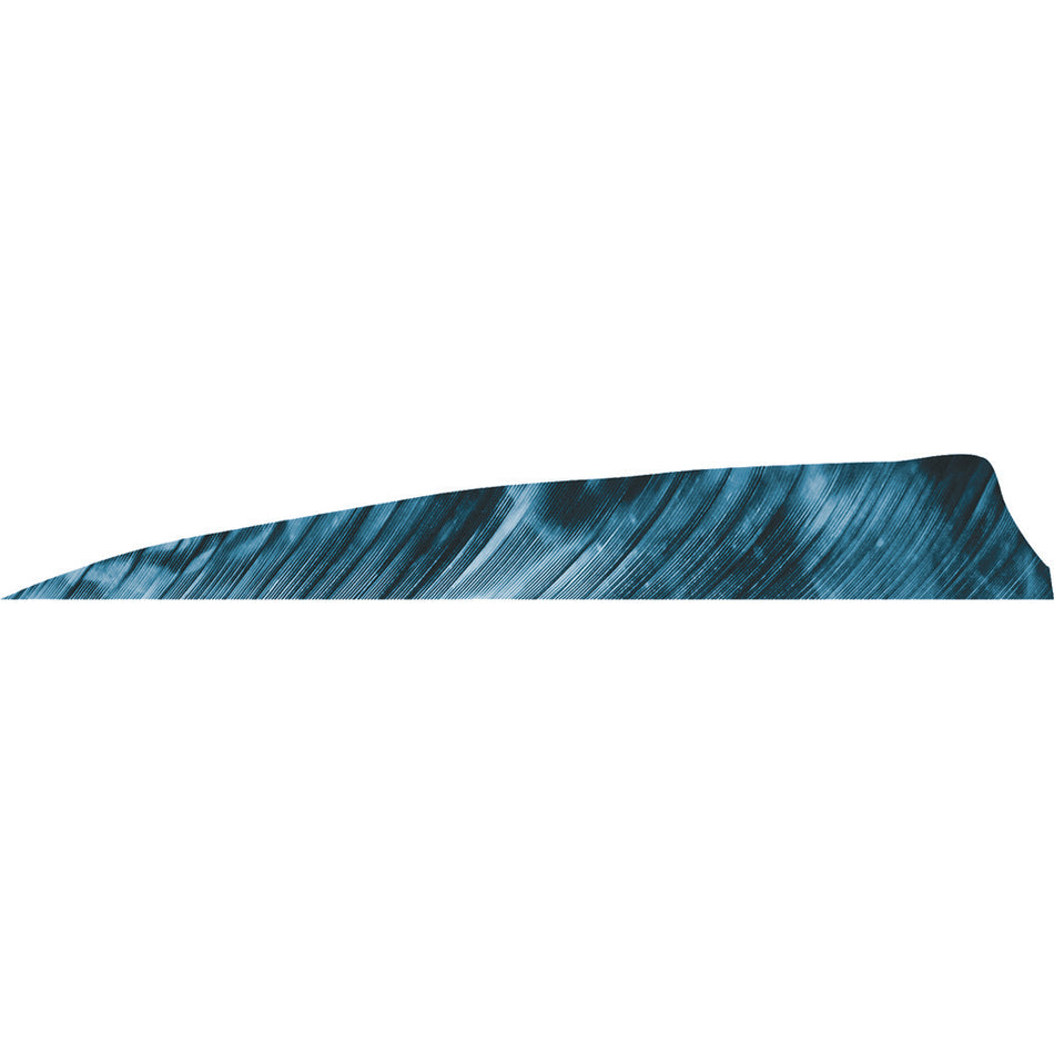 Gateway Tre Blue Shield Cut Arrow Feathers 4 in. RW 50 pk.