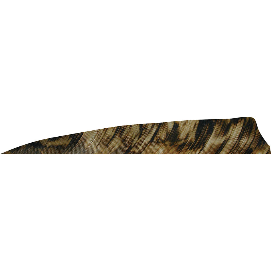 Gateway Tre Brown Shield Cut Arrow Feathers 4 in. RW 50 pk.