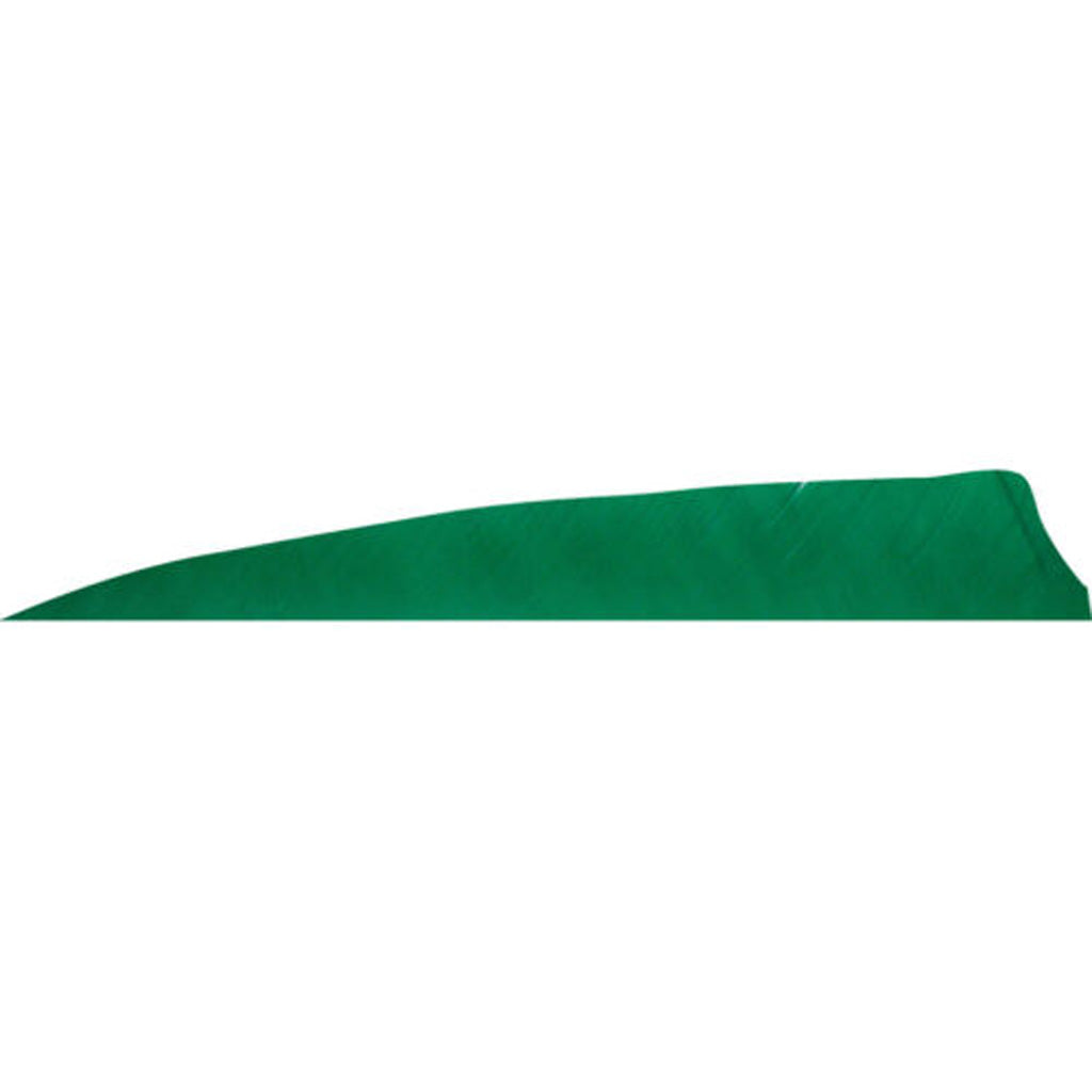Gateway Tre Green Shield Cut Arrow Feathers 4 in. RW 50 pk.
