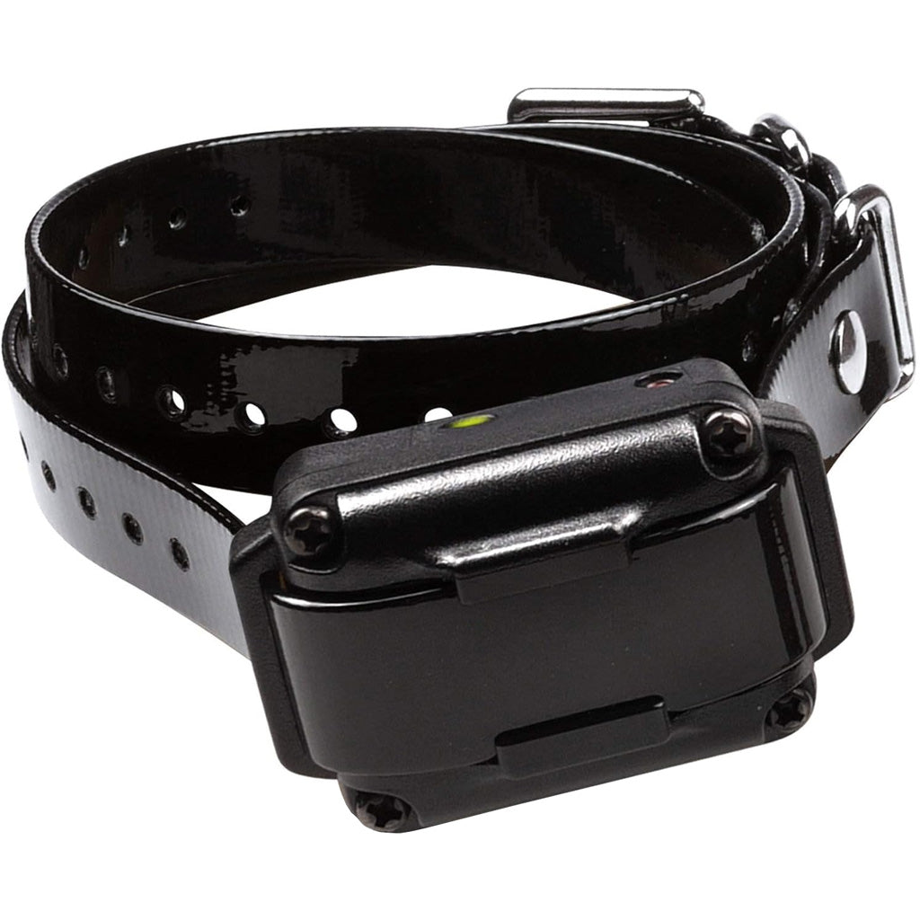 Dogtra 200IQ Single Dog Training Collar System