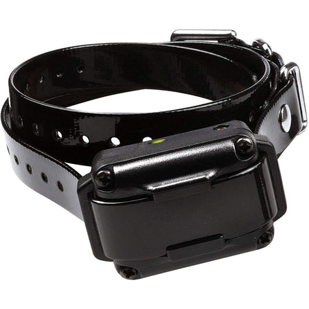 Dogtra 200IQ Single Dog Training Collar System