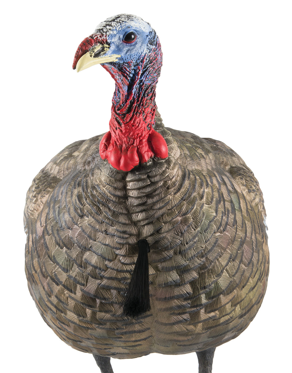 Avian X AVXAVX8003 LCD Quarter-Strut Jake Turkey Decoy