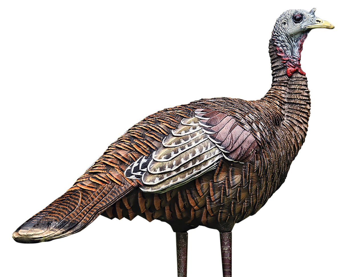Avian X AVXAVX8006 LCD Lookout Hen Turkey Decoy Collapsible